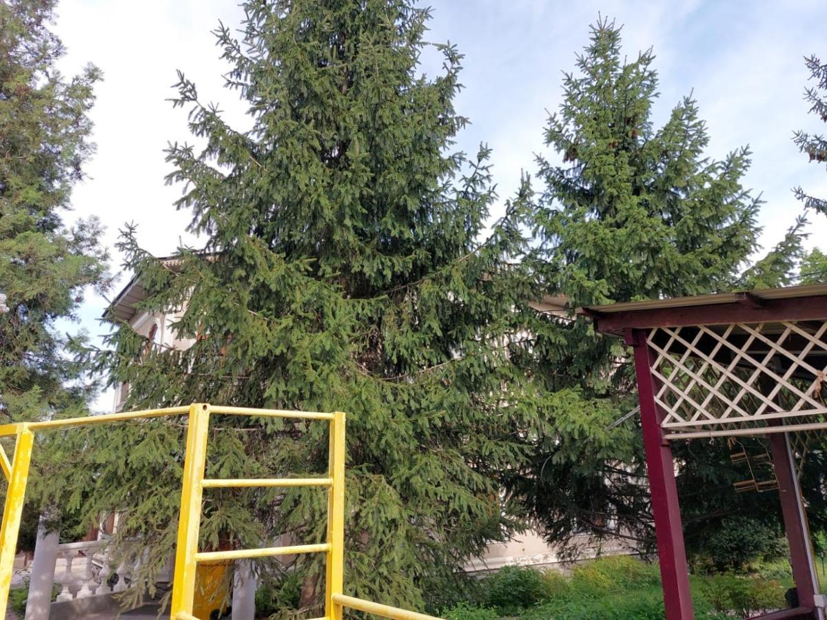 Room Hostel Dostyk Алма Ата Екстериор снимка